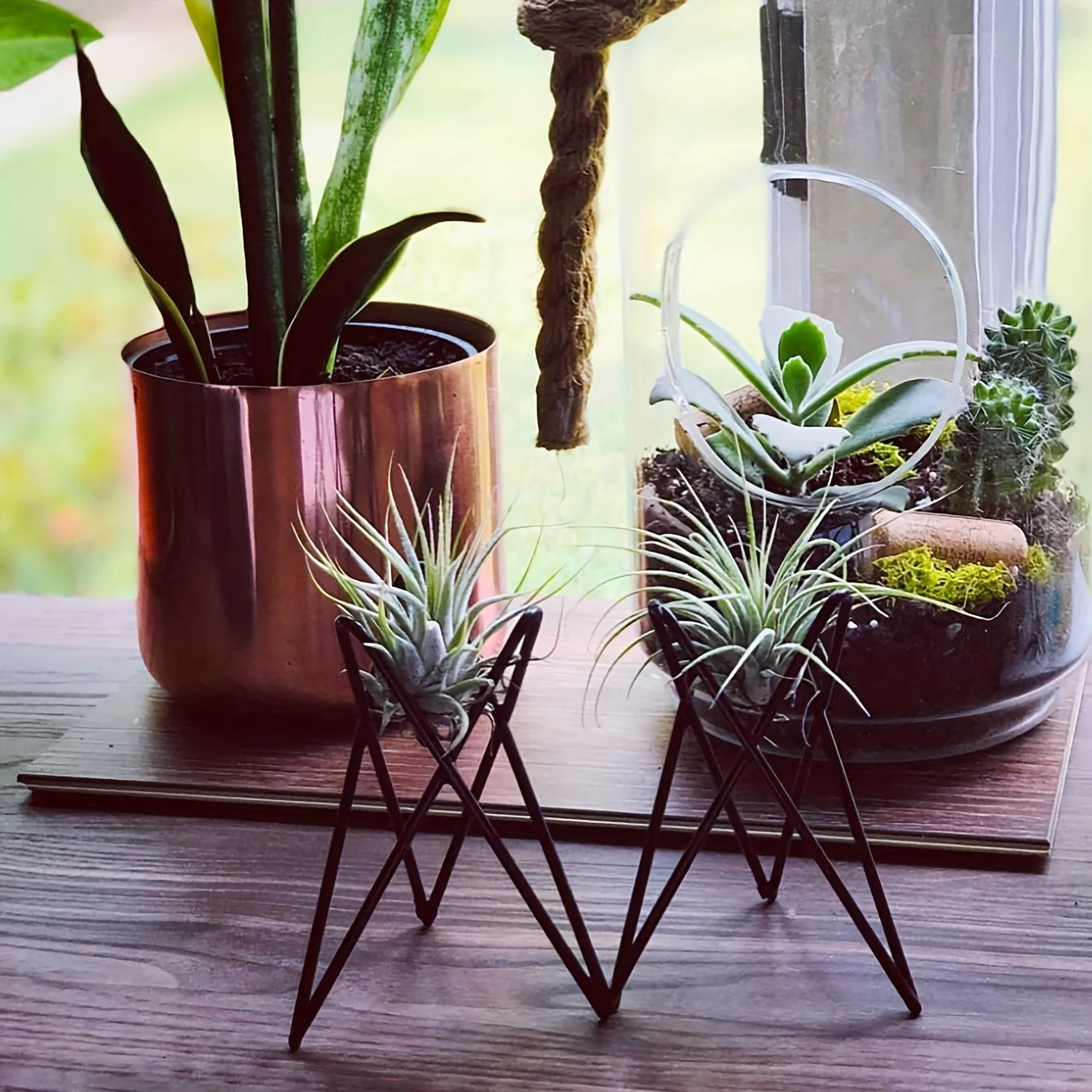 Air Plant Tillandsia - 1Pcs Creative Plants lron Bracket Indoor