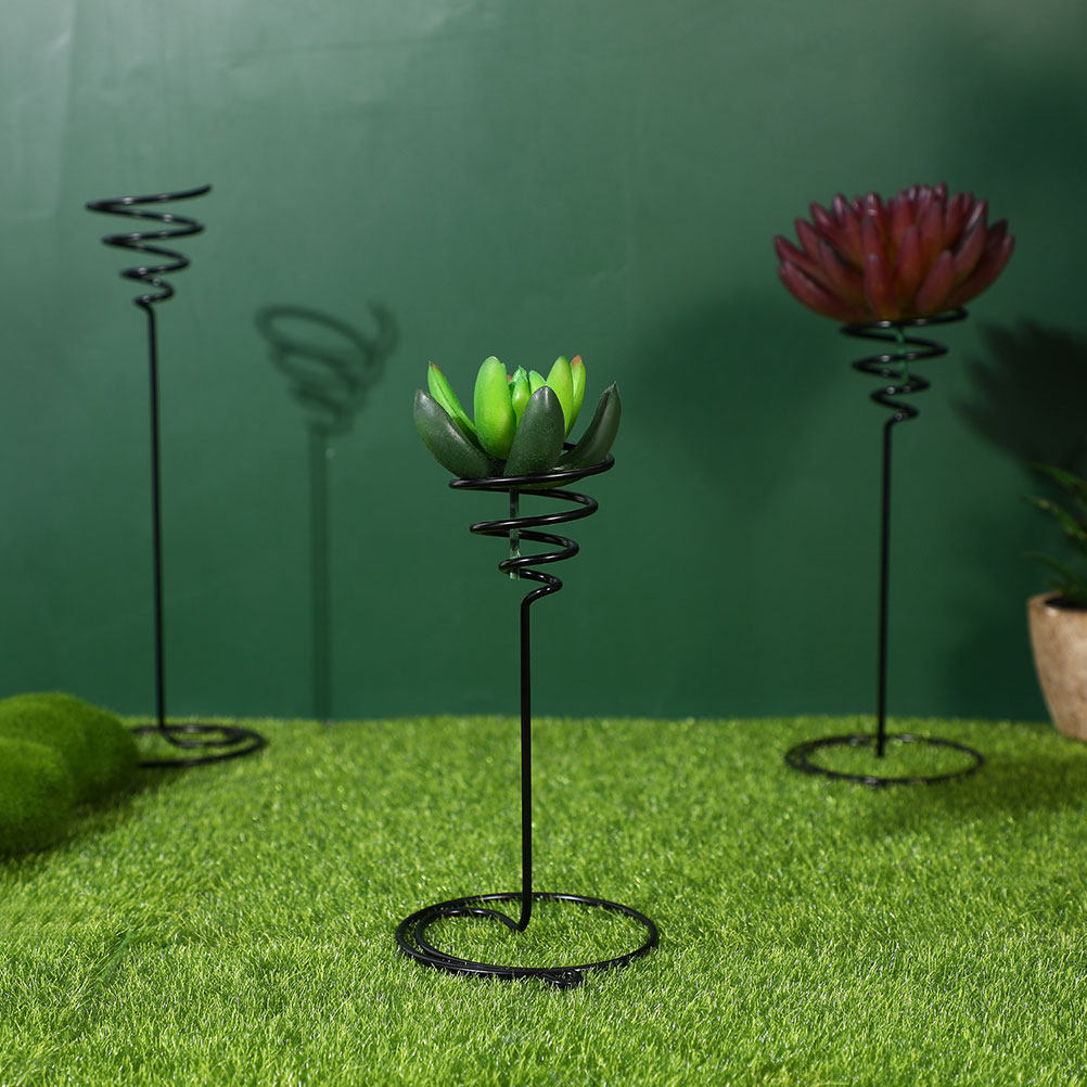 Air Plant Tillandsia - 6pcs High-Leg Spiral Plant Stand Stainless