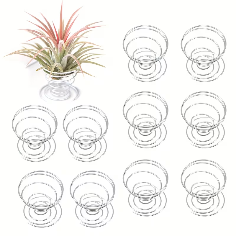 Air Plant Tillandsia - 1/10PCS Metal Spring Stand Set, Special