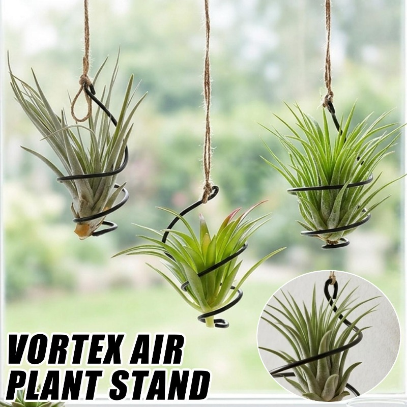 Air Plant Tillandsia - Hanging Air Plant Holders Distinctive Air