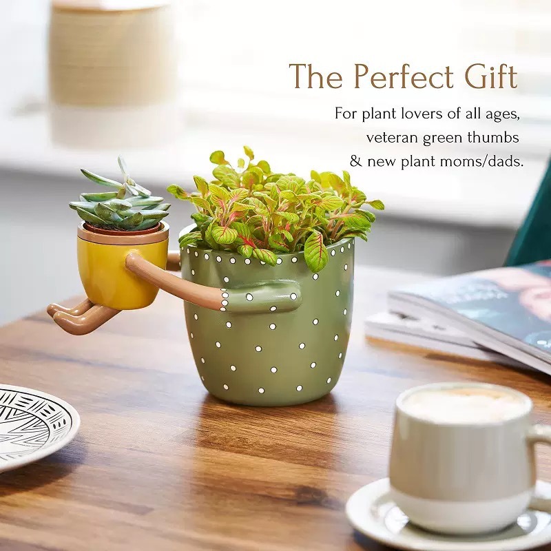 Resin Parent-child Flowerpot w - đánh giá và giá Plant Parent Pot