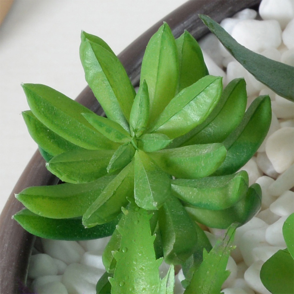 Desk Centerpiece Artificial fo - đánh giá và giá Succulent Arrangement Mini