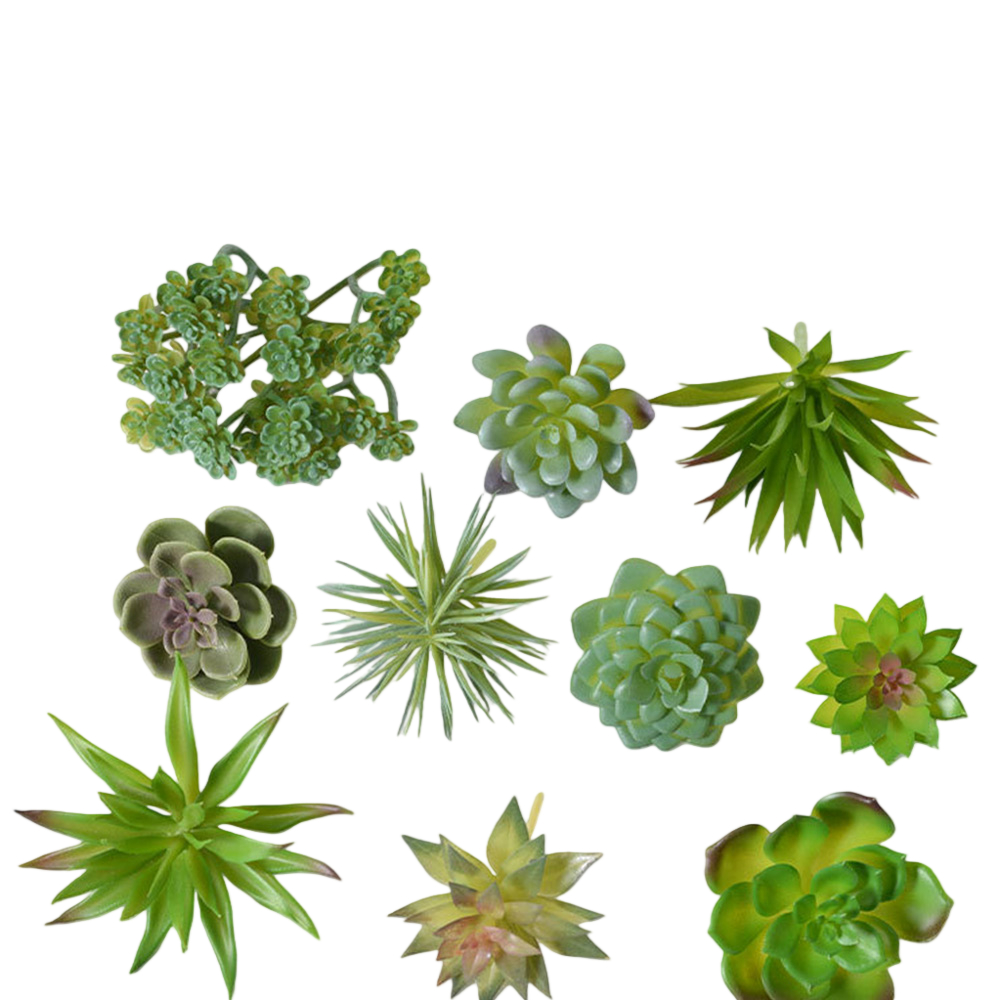 Desk Centerpiece Artificial fo - đánh giá và giá Succulent Arrangement Mini