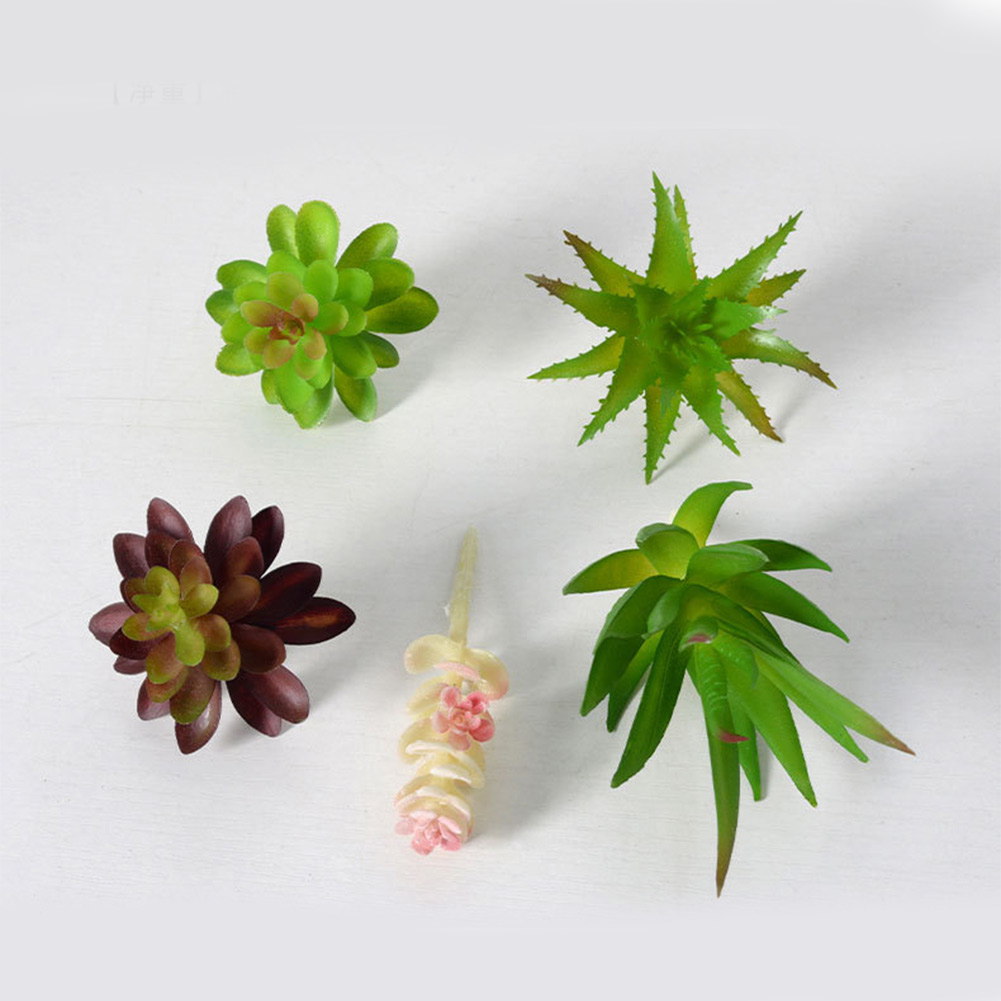 Desk Centerpiece Artificial fo - đánh giá và giá Succulent Arrangement Mini