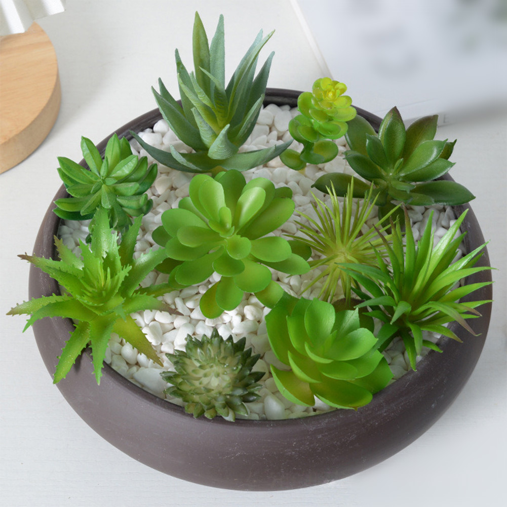 Artificial For Mini Bonsai Suc - đánh giá và giá Succulent Arrangement Mini