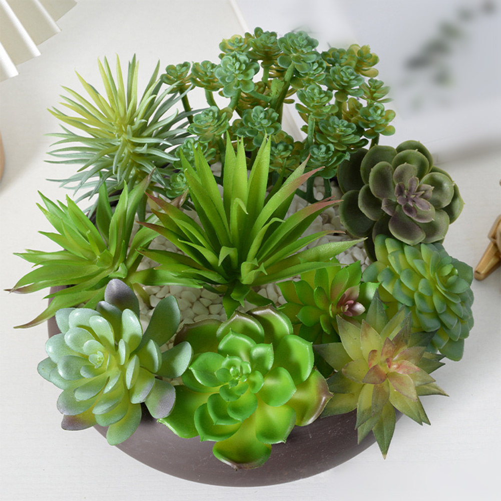 Artificial For Mini Bonsai Suc - đánh giá và giá Succulent Arrangement Mini