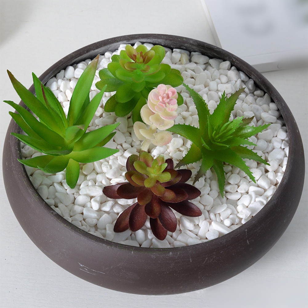 Artificial For Mini Bonsai Suc - đánh giá và giá Succulent Arrangement Mini