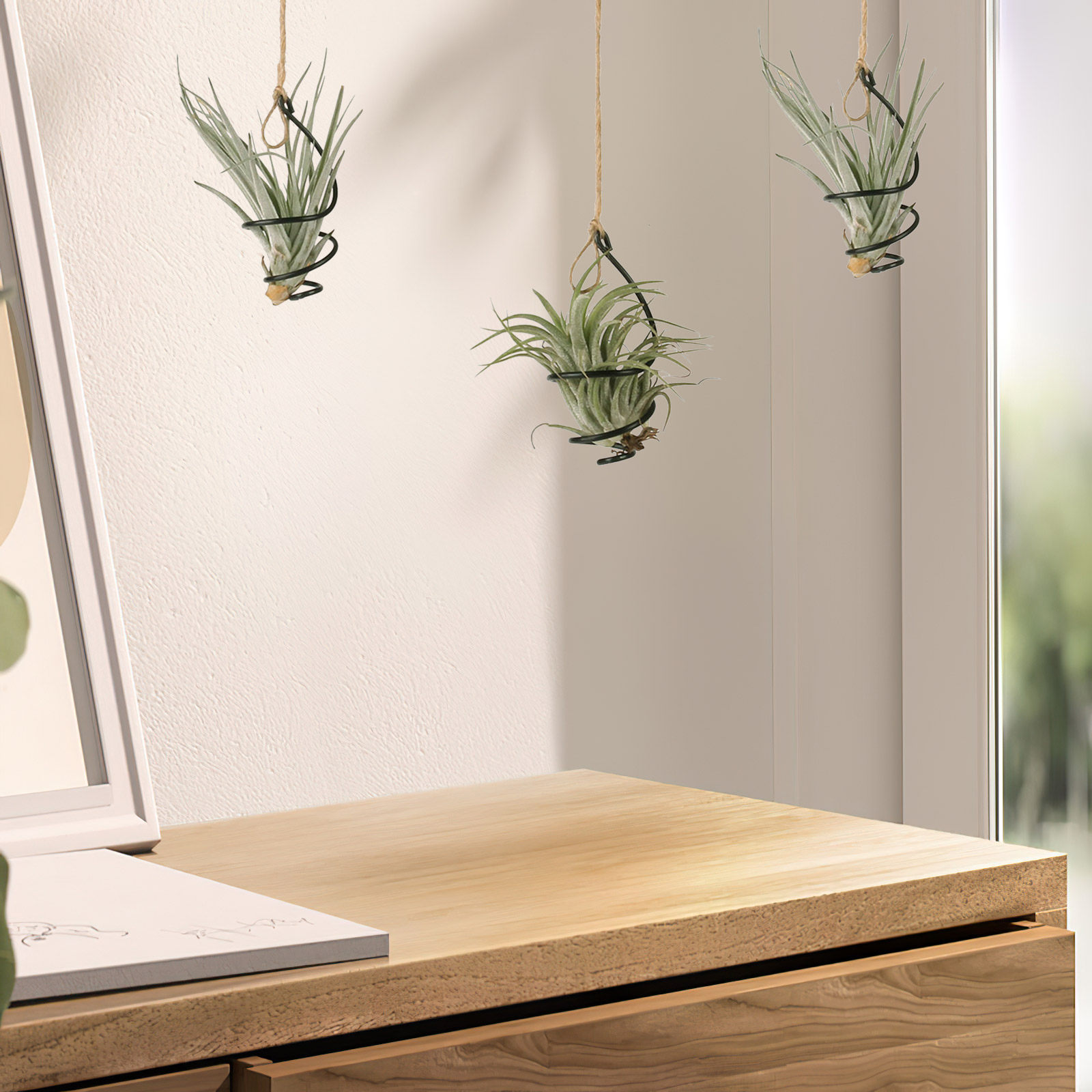 12Set Air Plant Holder Spiral  - đánh giá và giá Air Plant Tillandsia