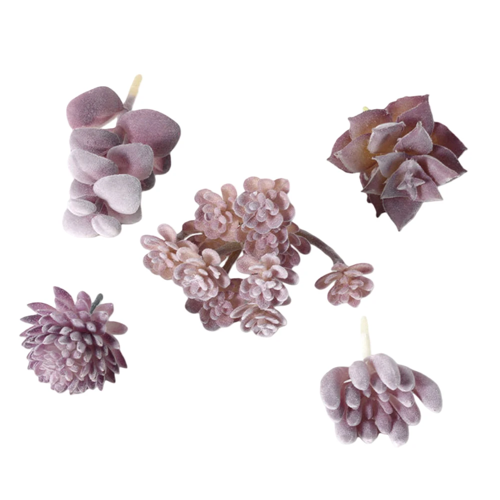 Low Upkeep For Mini Bonsai Suc - đánh giá và giá Succulent Arrangement Mini