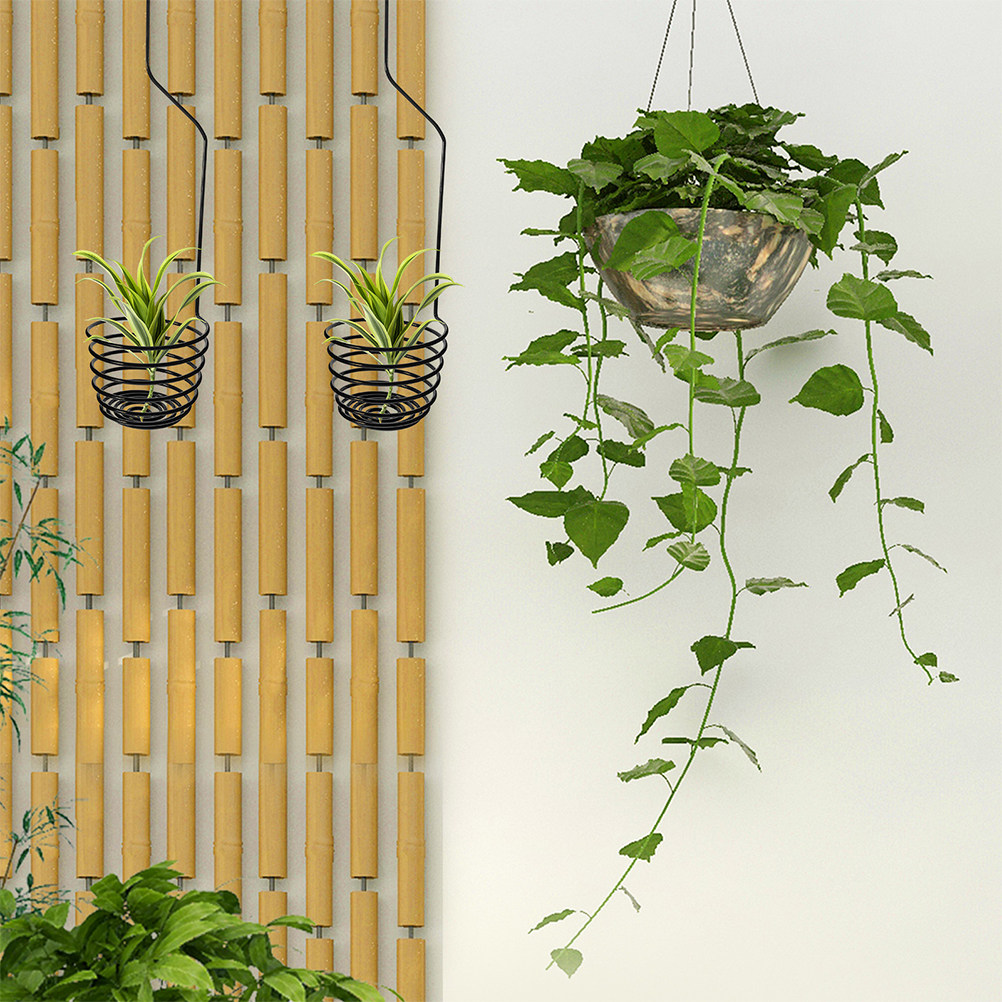 3Pcs Spiral Air Plant Hooks Wa - đánh giá và giá Air Plant Tillandsia