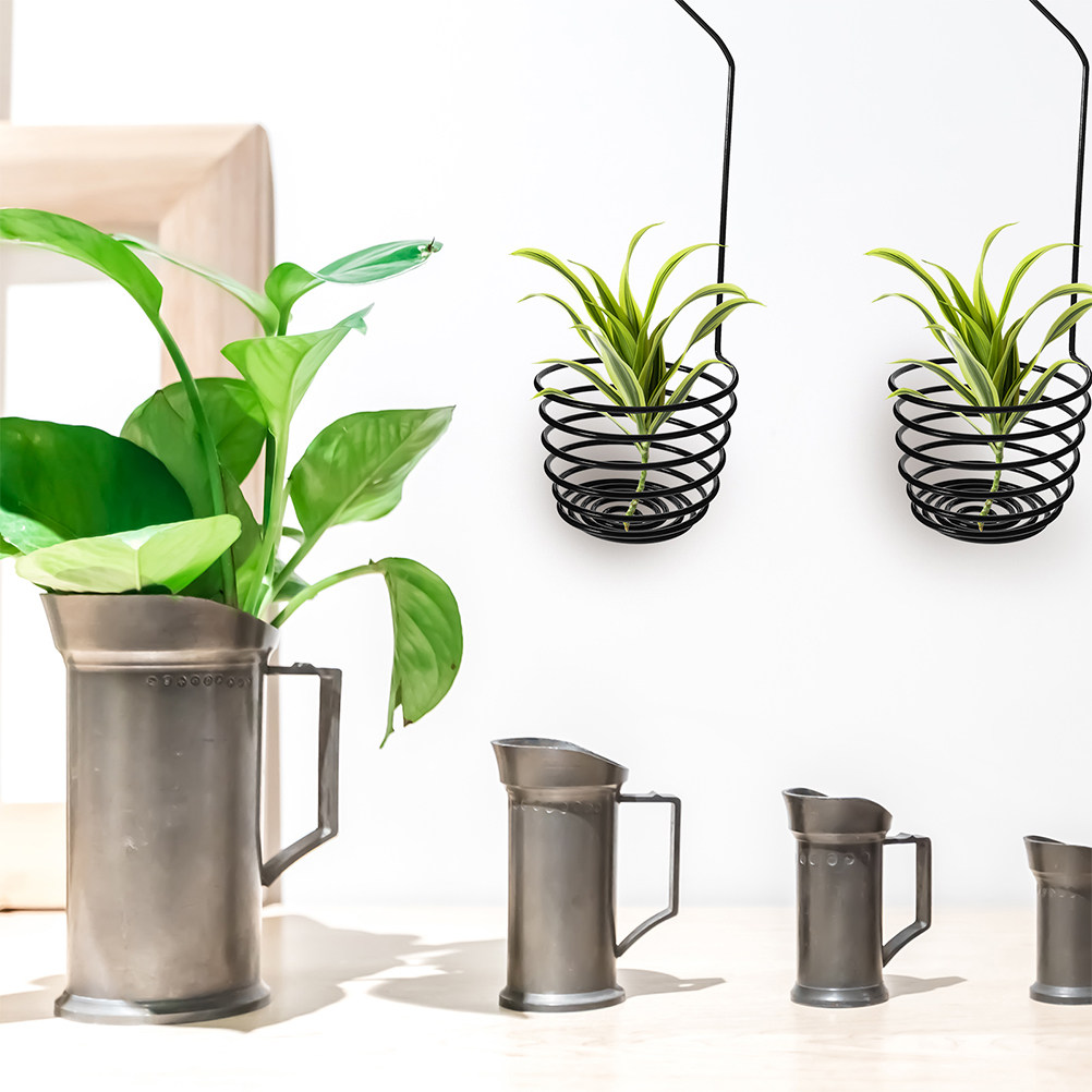 3Pcs Spiral Air Plant Hooks Wa - đánh giá và giá Air Plant Tillandsia