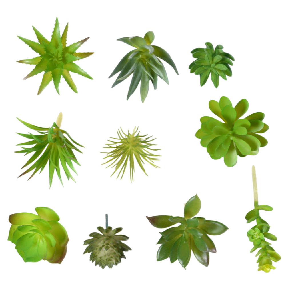 Photography Prop Friendly For  - đánh giá và giá Succulent Arrangement Mini