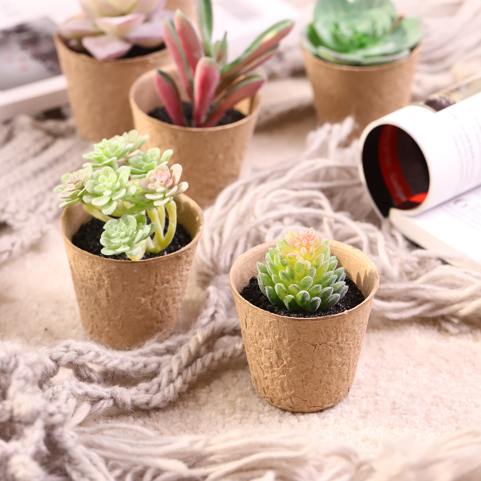 Kisangel 6pcs Realistic Artifi - đánh giá và giá Succulent Arrangement Mini