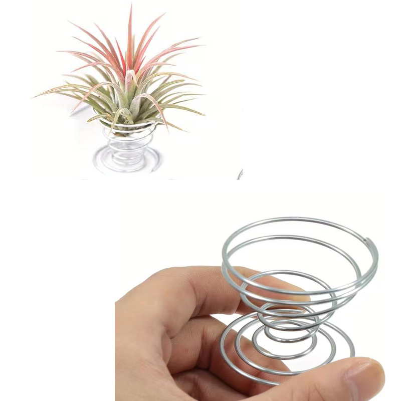 1/10PCS Metal Spring Stand Set - đánh giá và giá Air Plant Tillandsia
