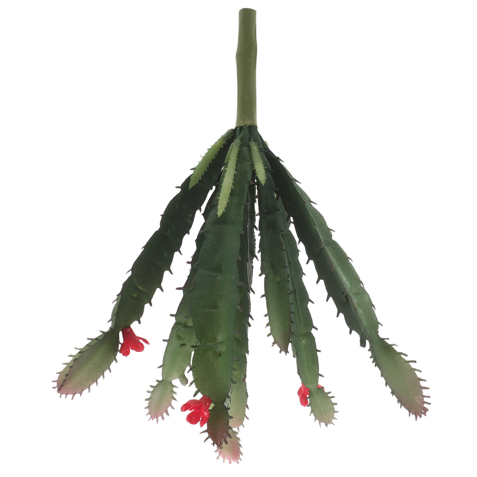 Lifelike Mini Faux Cactus Succ - đánh giá và giá Succulent Arrangement Mini