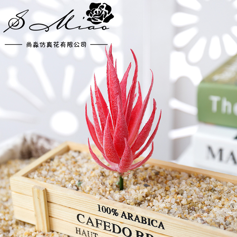 Wusmart Ban Ma Lu Hui Artifici - đánh giá và giá Succulent Arrangement Mini