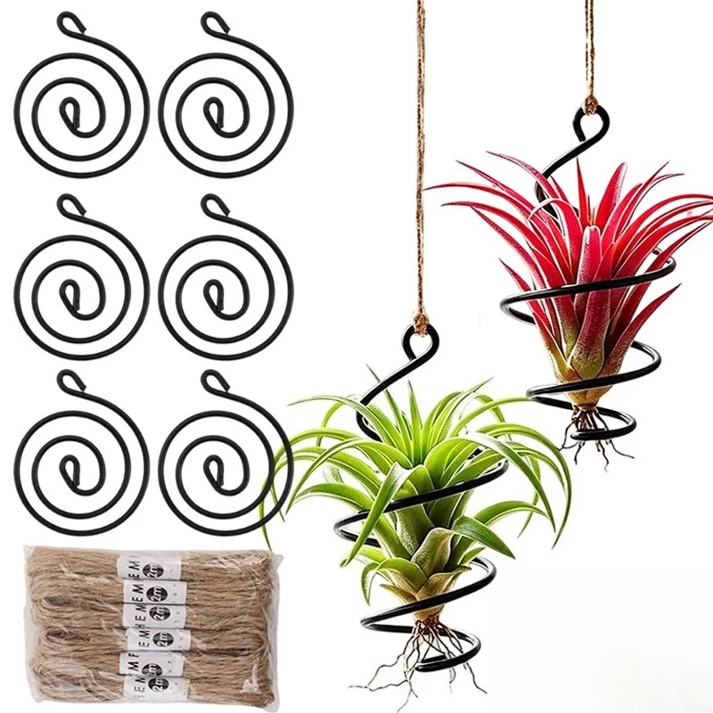 Hanging Air Plant Holders Dist - đánh giá và giá Air Plant Tillandsia