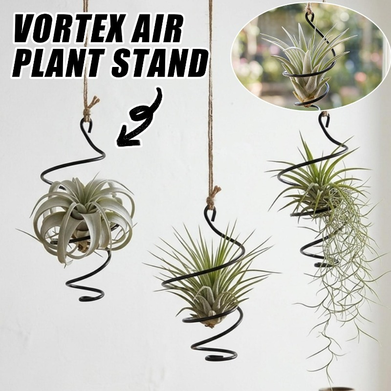 Hanging Air Plant Holders Dist - đánh giá và giá Air Plant Tillandsia