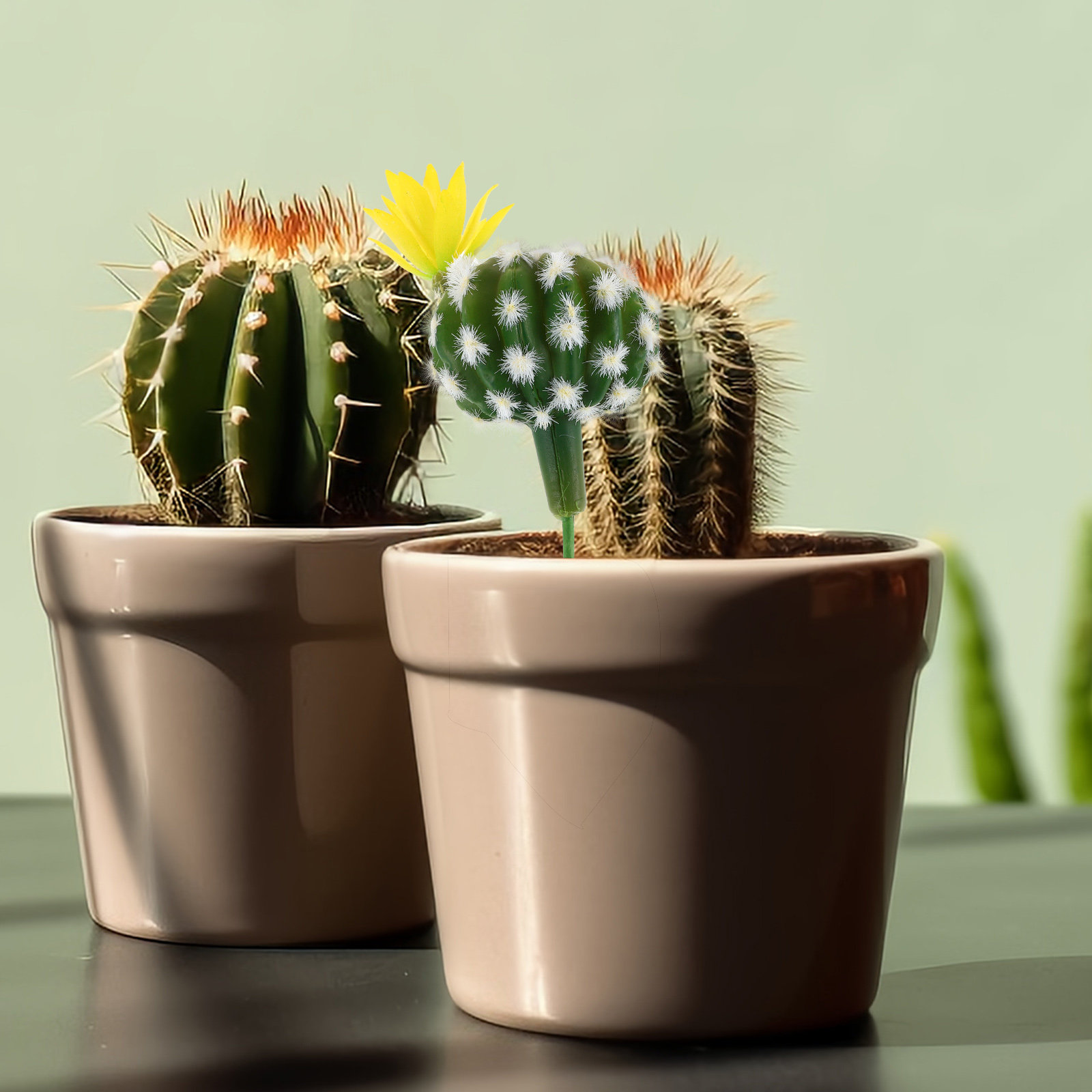 Mini Artificial Cactus Succule - đánh giá và giá Succulent Arrangement Mini